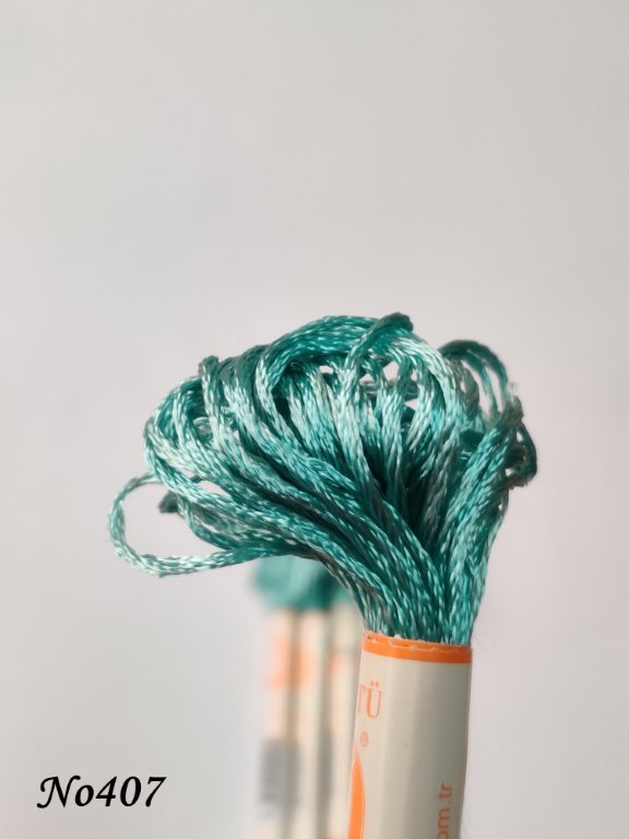 407 (DMC503) (1) (Medium)